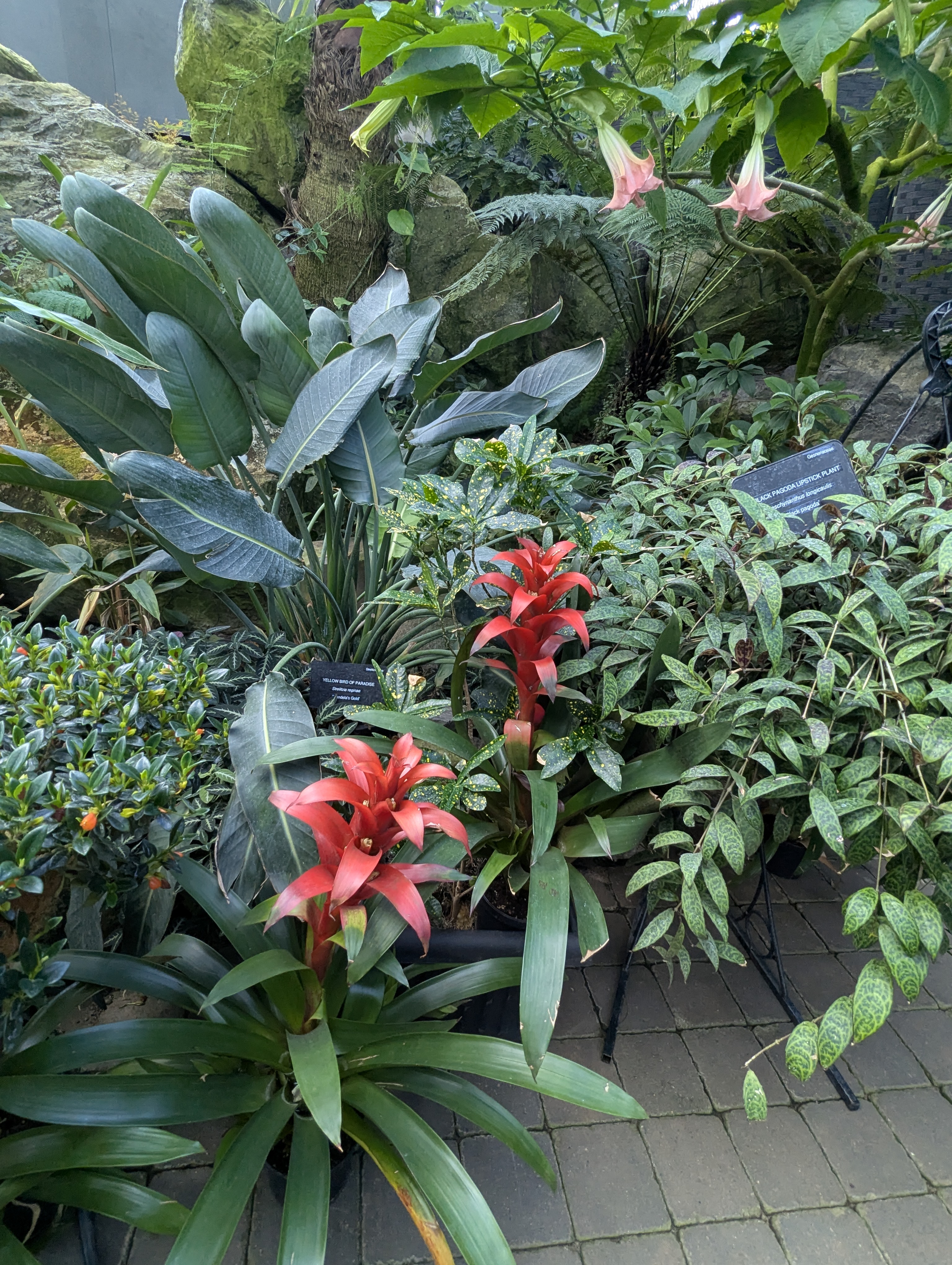 Birthday Trip to Canada, Edmonton, Pyramids, Muttart Observatory